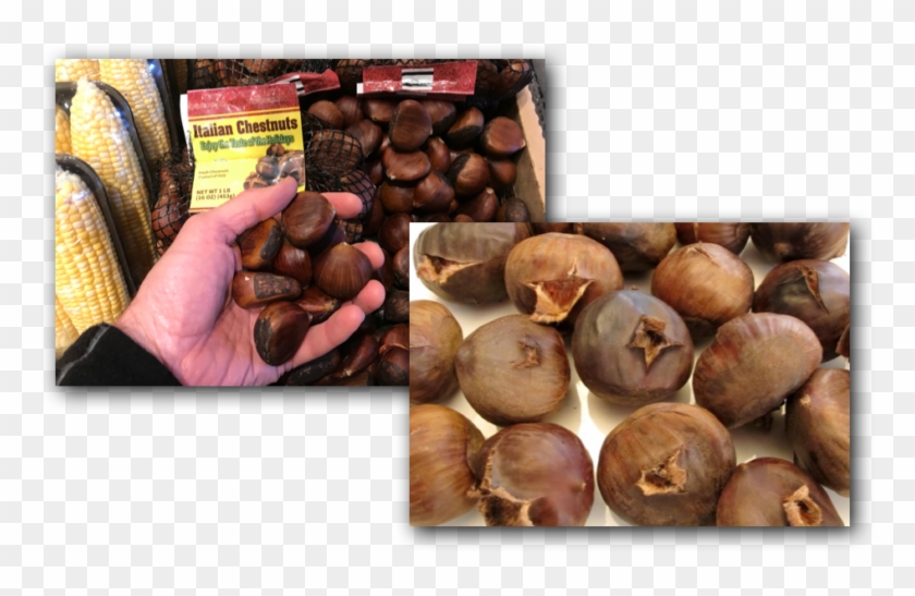 Chestnuts 12 9 17 - Chestnut Clipart #3923697