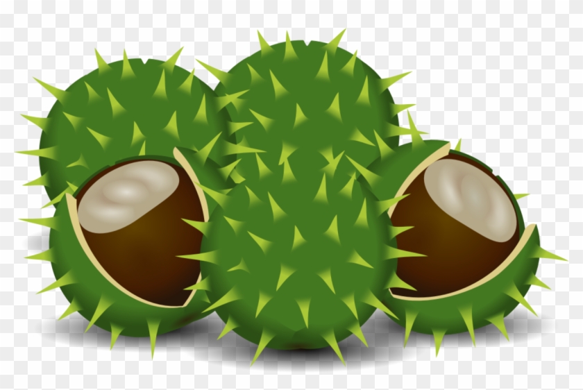 European Horse-chestnut Computer Icons Download - Clip Art - Png Download