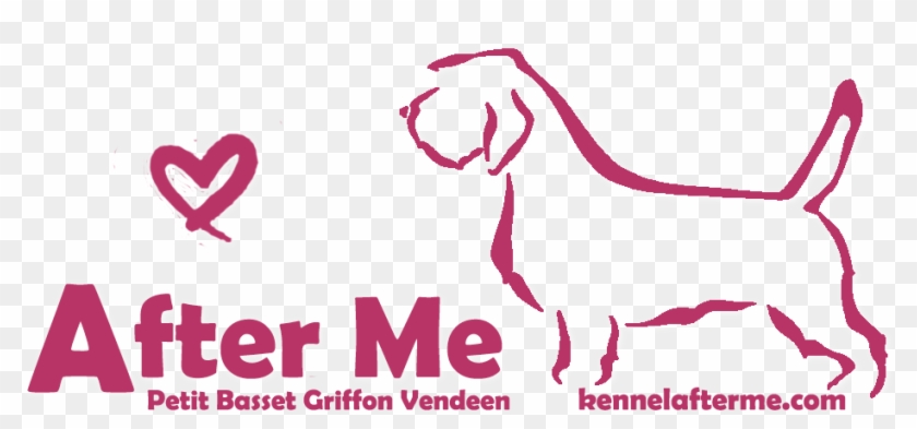 Petit Basset Griffon Vendeen - Graphic Design Clipart