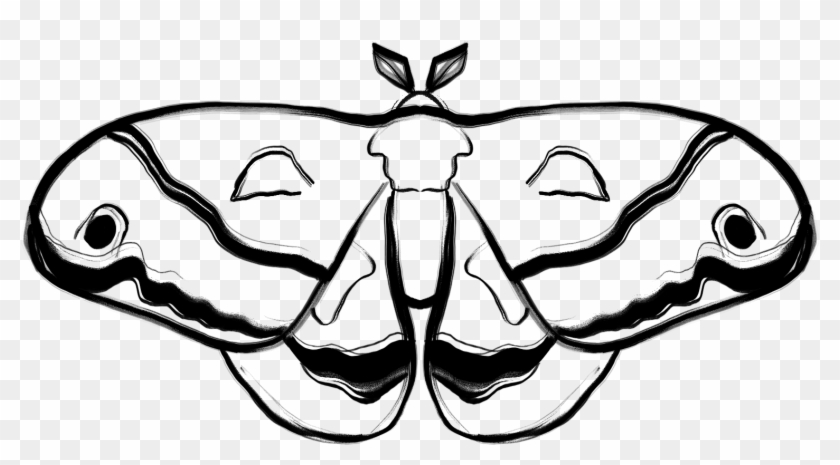 Julie West - Moth Clipart