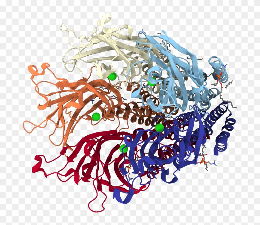 Chains Colored In Rainbow - Graphic Design Clipart #3926259