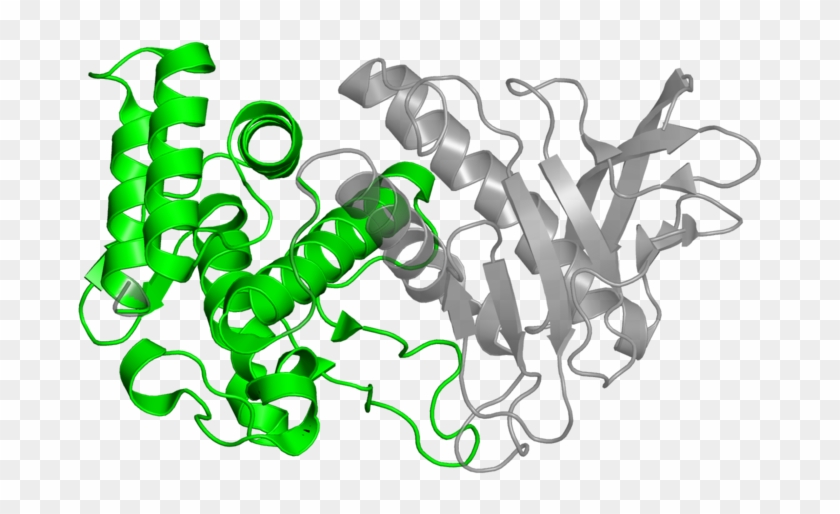 Illustration Clipart