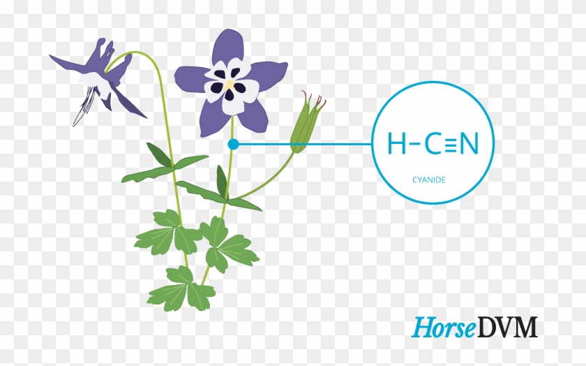 Columbine Toxic Components Clipart #3926916