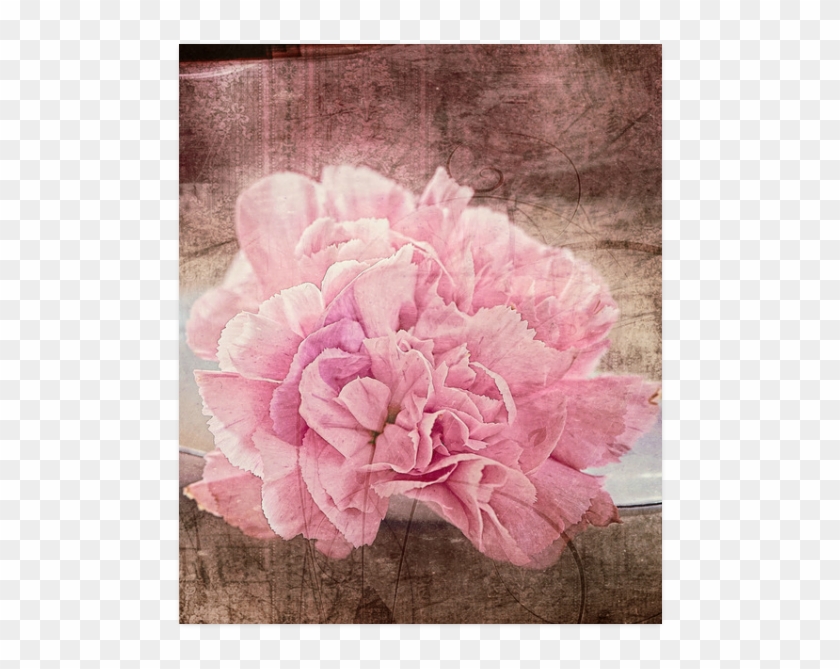 Common Peony Clipart #3927164