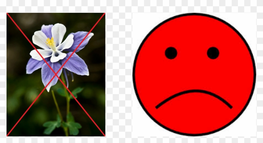 Columbine Flowers - Columbine Flower Colorado Clipart