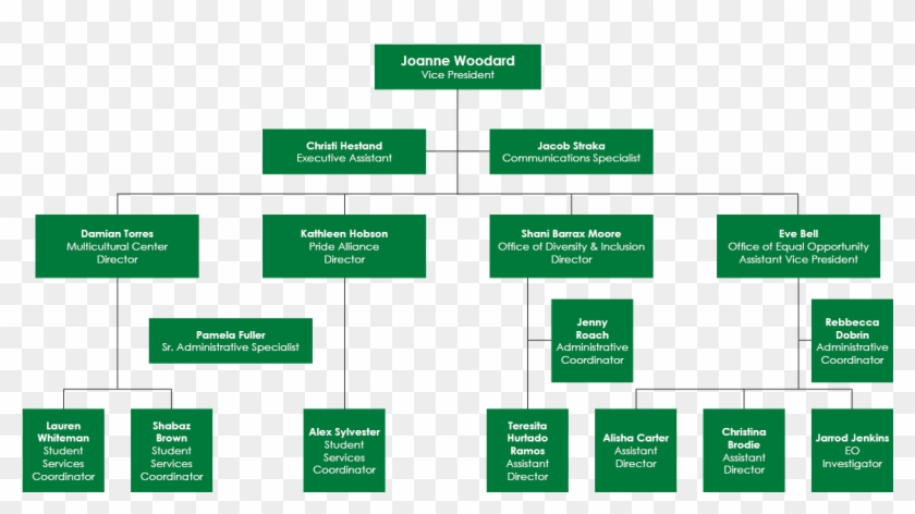 Division Of Institutional Equity & Diversity Org Chart - Statistical Graphics Clipart