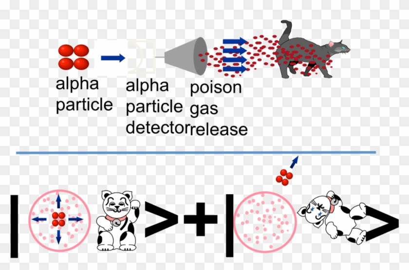 In Quantum Information, We Describe This Cat Paradox Clipart