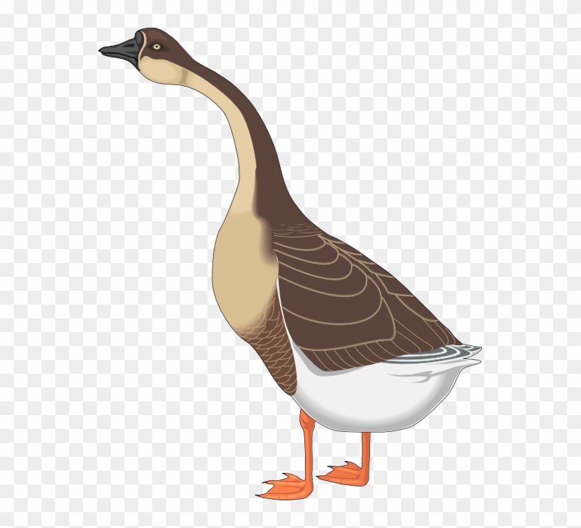 Free To Use & Public Domain Goose Clip Art - Goose Clipart Png Transparent Png #3930254