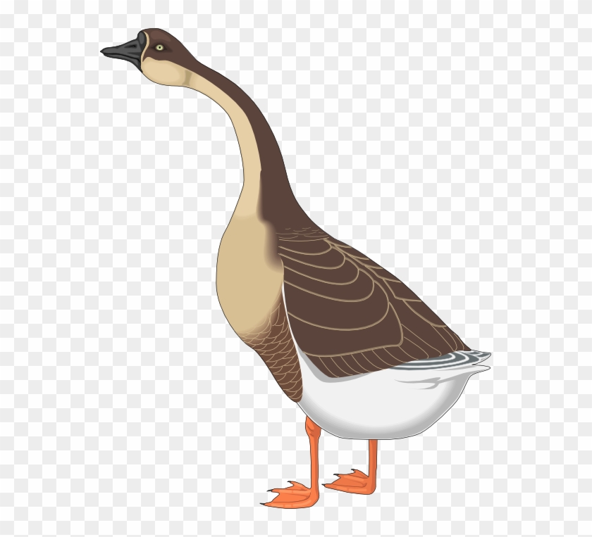 Free To Use & Public Domain Goose Clip Art - Goose Clipart Png Transparent Png