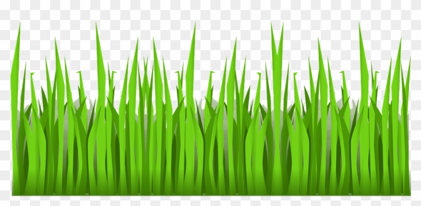 Sea Grass Clipart Turtle Habitat - Grass Clipart No Background - Png Download