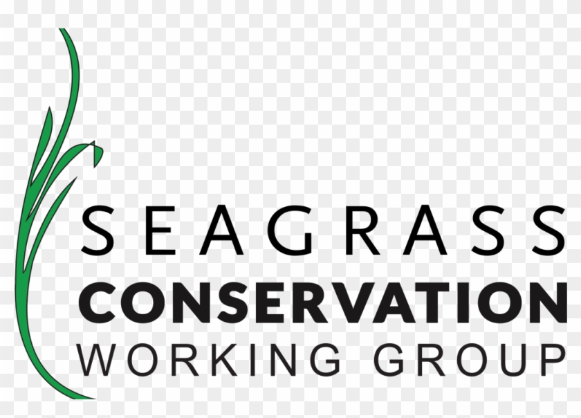 Welcome To Our New Website - Seagrass Conservation Clipart #3931403
