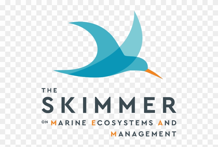 The Skimmer On Marine Ecosystems And Management - Graphic Design Clipart #3931496