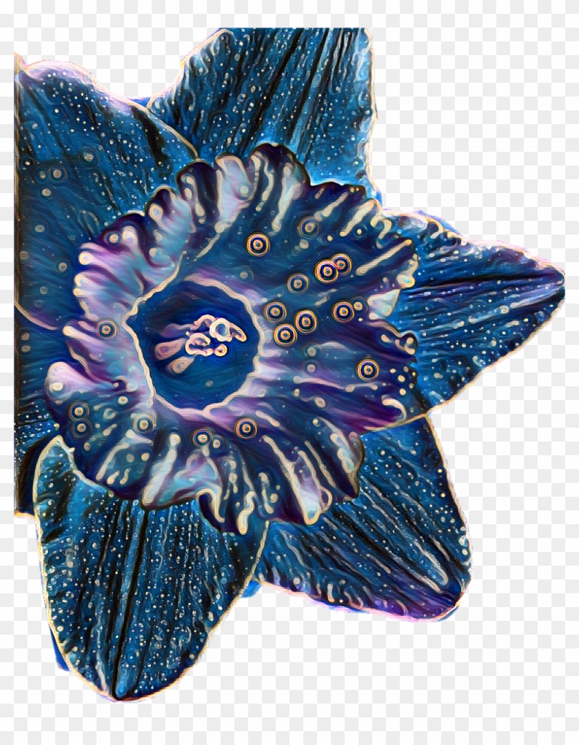#cosmic #flower #narcissus #daffodil #freetoedit - Gentiana Clipart