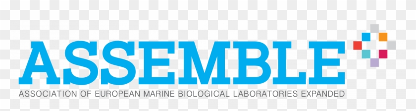 Riccardo Pieraccini's Research Interests Cover A Broad - Parallel Clipart #3932407