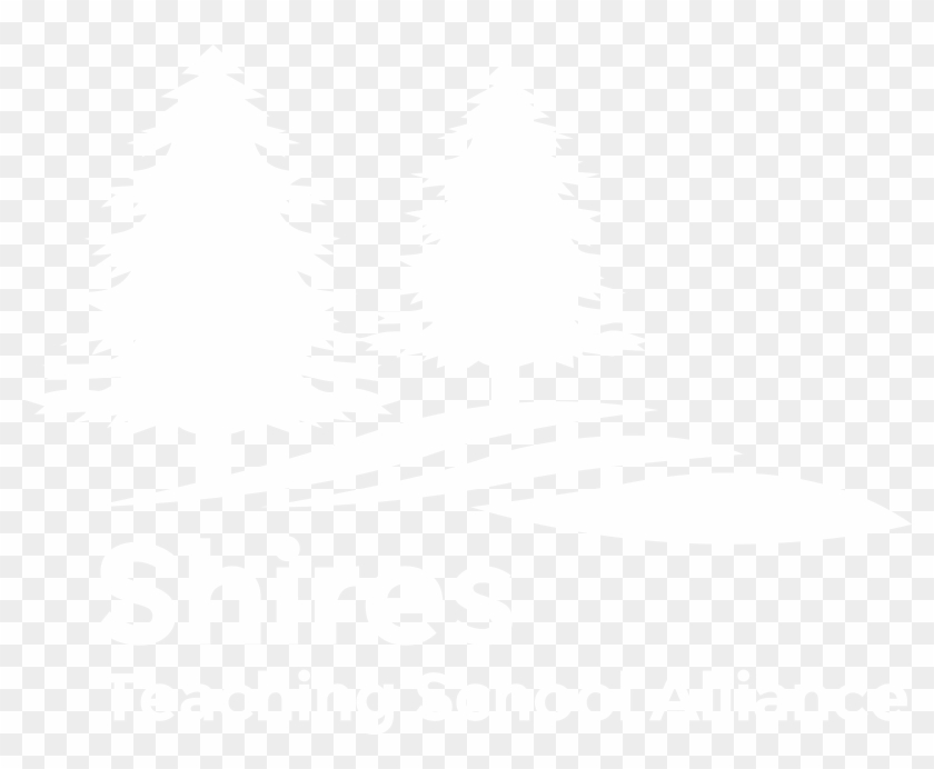 Shires Teaching School - Colorado Spruce Clipart