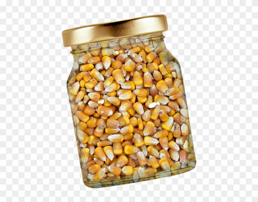 Corn Glass Lid Corn Kernels Isolated Exemption - Jagung Kuning Clipart
