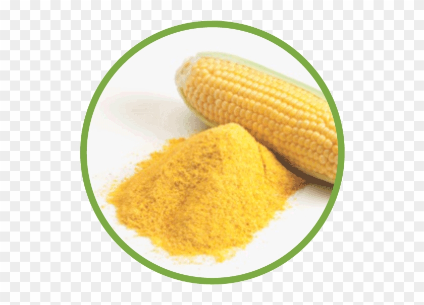 Corn Md Circle Corn Powder Circle - M8 Paper Clipart #3935121
