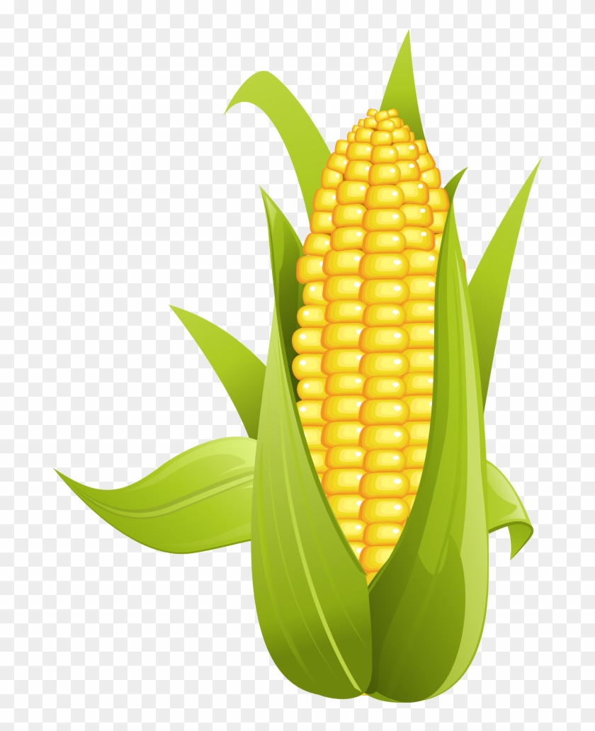 Kernel Clipart Corn Kernel - Ear Of Corn Clipart - Png Download