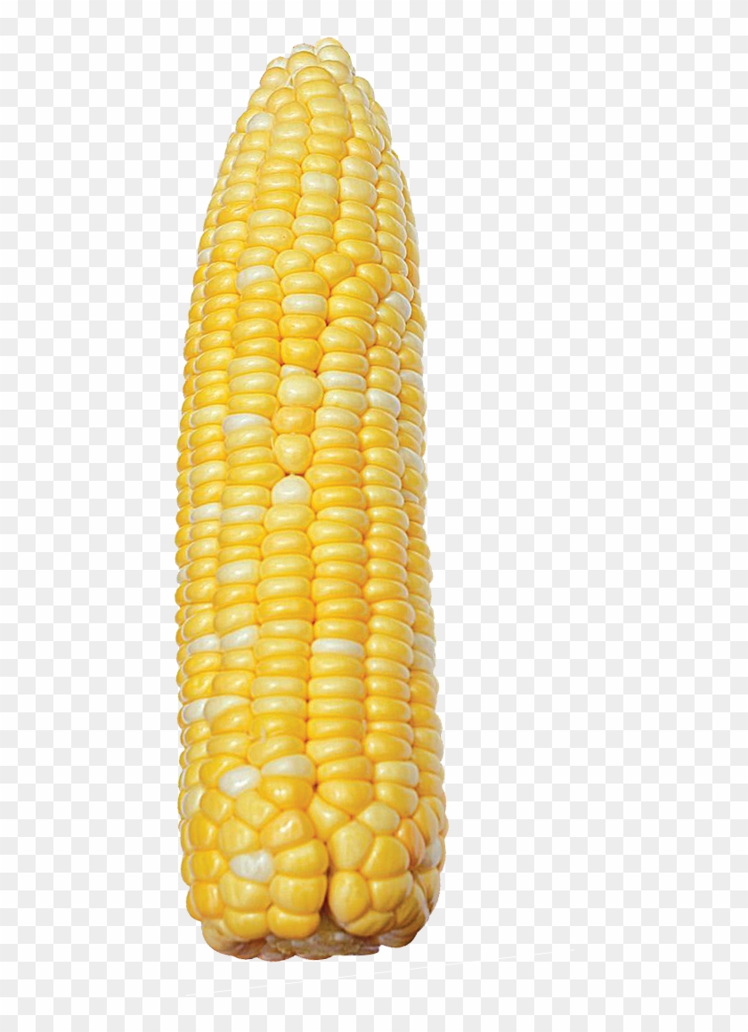 The Product Is Already In The Wishlist Browse Wishlist - Corn Kernels Clipart