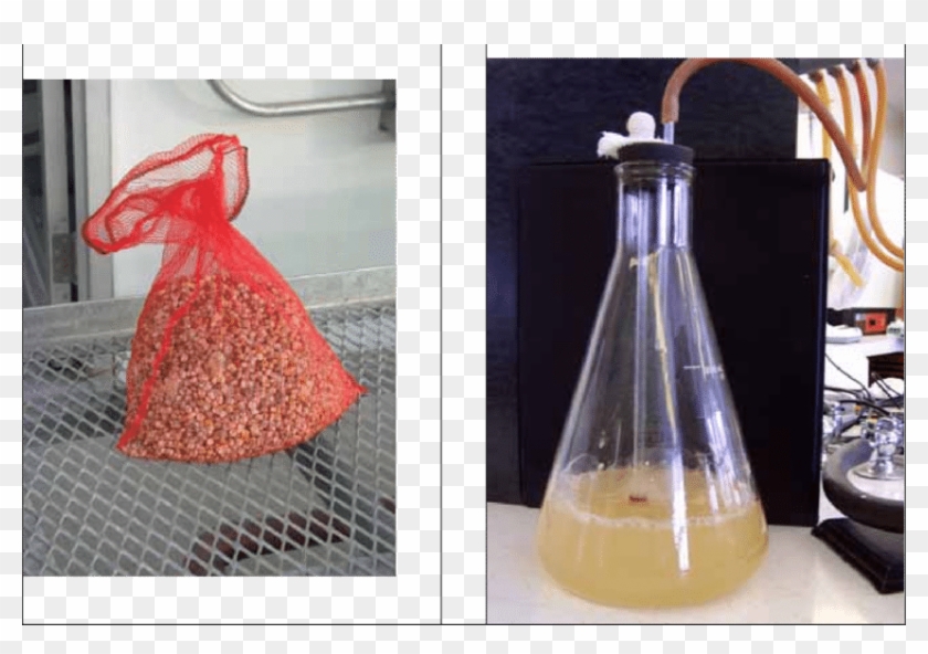 Dried Fusarium-infected Corn Kernels Ready To Be Stored - Glass Bottle Clipart