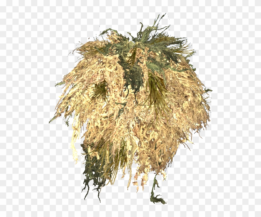 Ghillie Bushrag - Hornwort Clipart