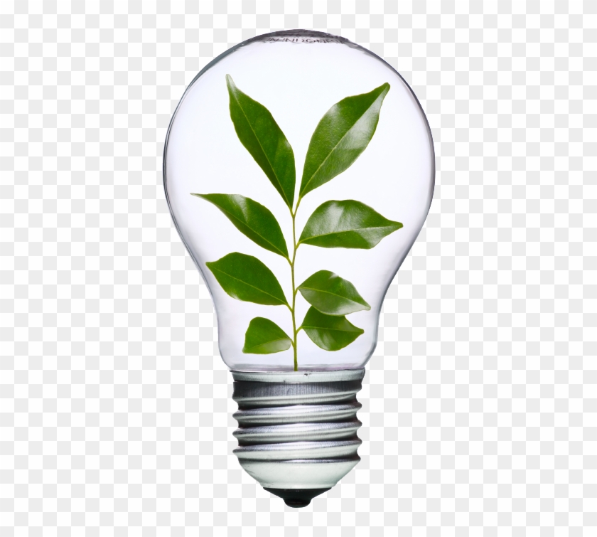Dracomp Számítástechnika - Light Bulb Earth Png Clipart #3936805