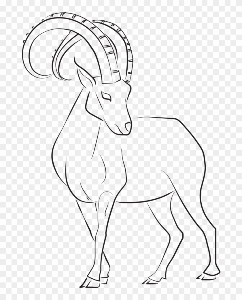 Ibex Clipart Mountain Goat - Markhor Drawing - Png Download #3938371