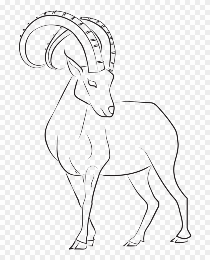 Ibex Clipart Mountain Goat - Markhor Drawing - Png Download