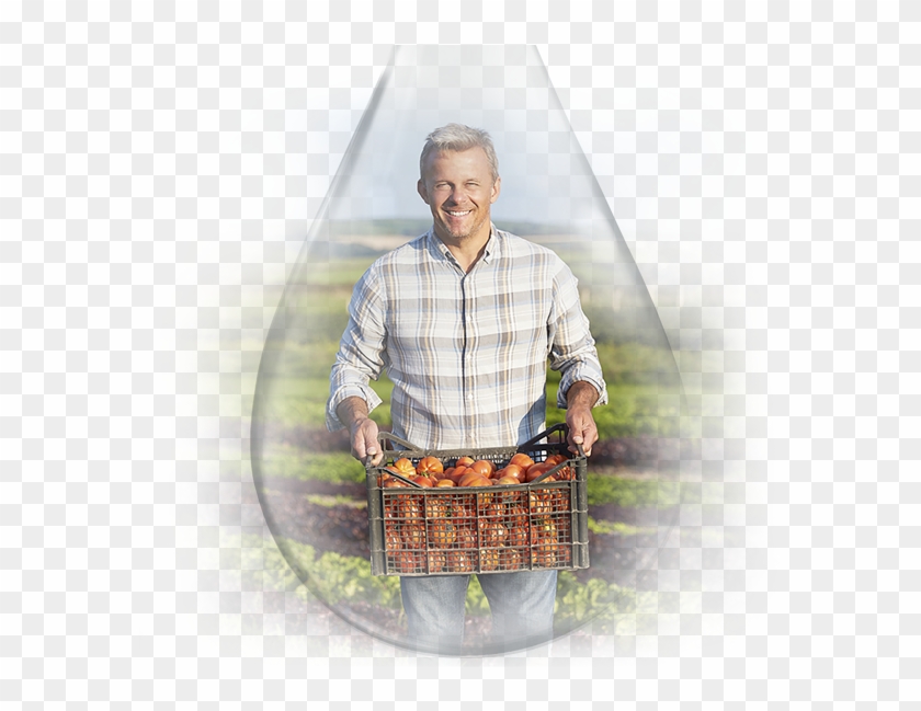 Syndros Uses Aawla One-2 - Technicien Agricole Au Maroc Clipart #3938657