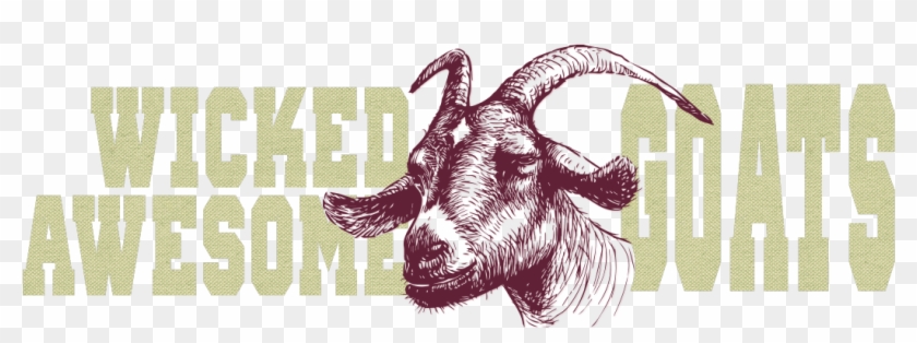 Wicked Awesome Goats - Stubborn Goat Clipart #3938985
