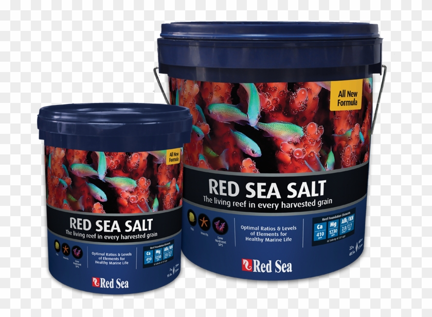 Red Sea Salts - Coral Reef Red Sea Salt Clipart