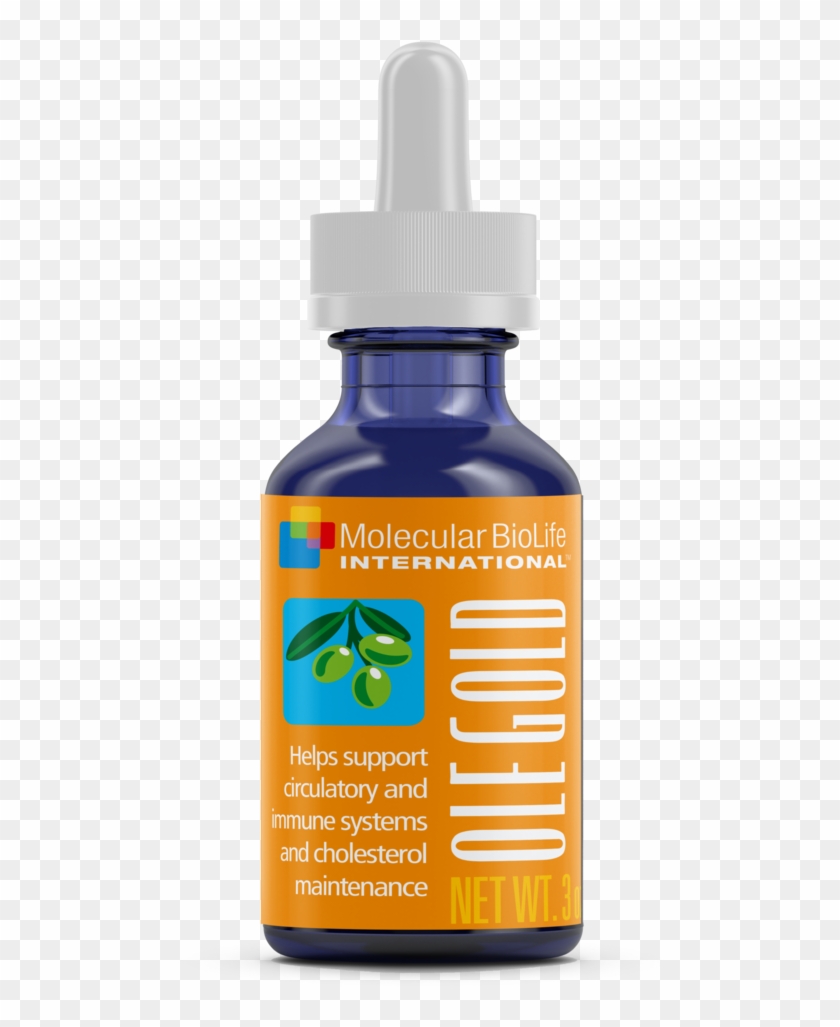 Olegold Olegold Olegold Olive Leaf - Plastic Bottle Clipart #3940425