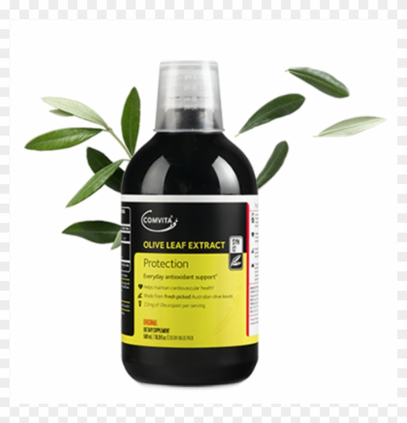 مستخلص اوراق الزيتون Clipart