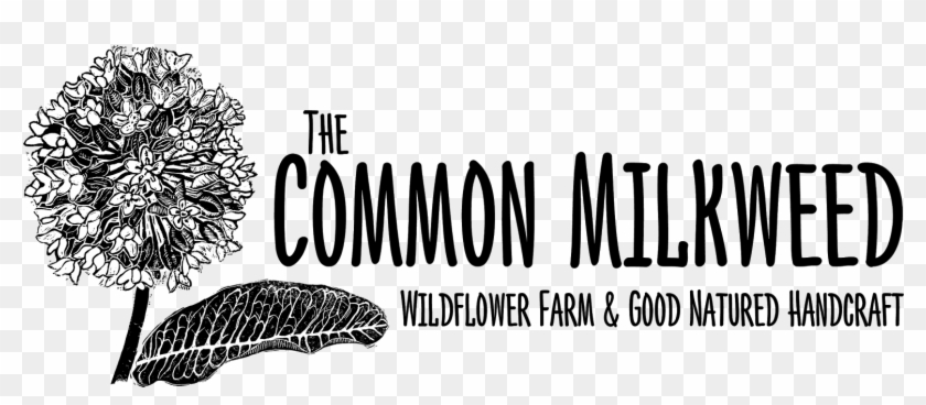 He Also Created A Milkweed Leaf With The Same Process - Western Yellow Pine Clipart