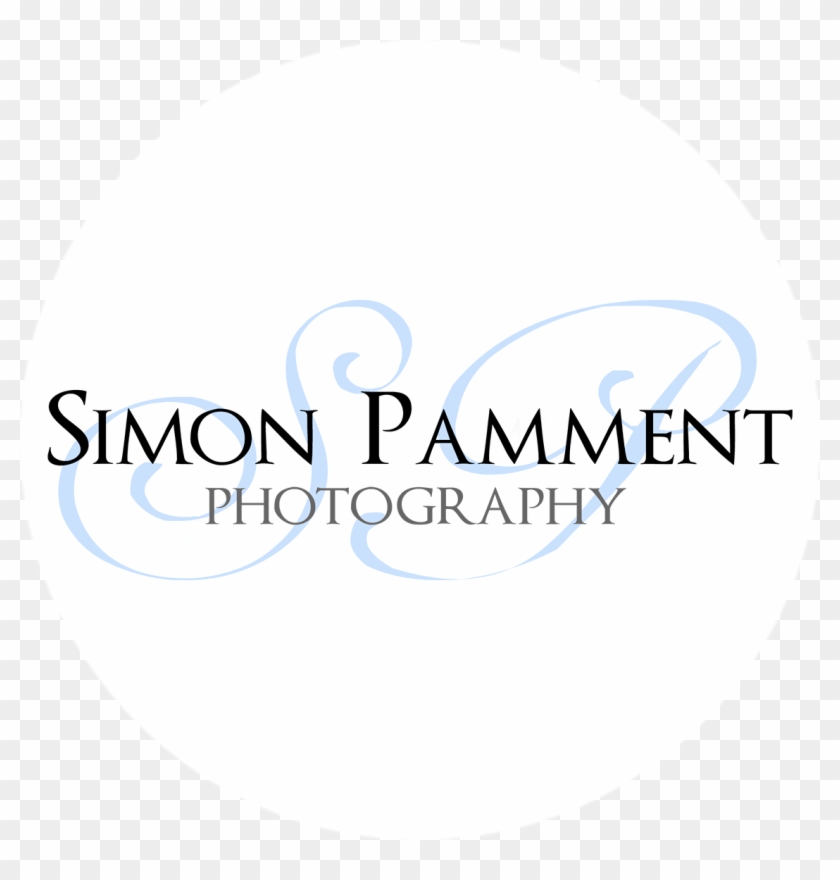 Satisfyer Logo Png Clipart