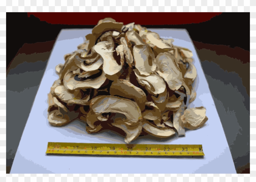 Shiitake Edible Mushroom Fungus Food Drying Clipart #3942566