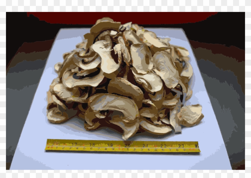 Shiitake Edible Mushroom Fungus Food Drying Clipart