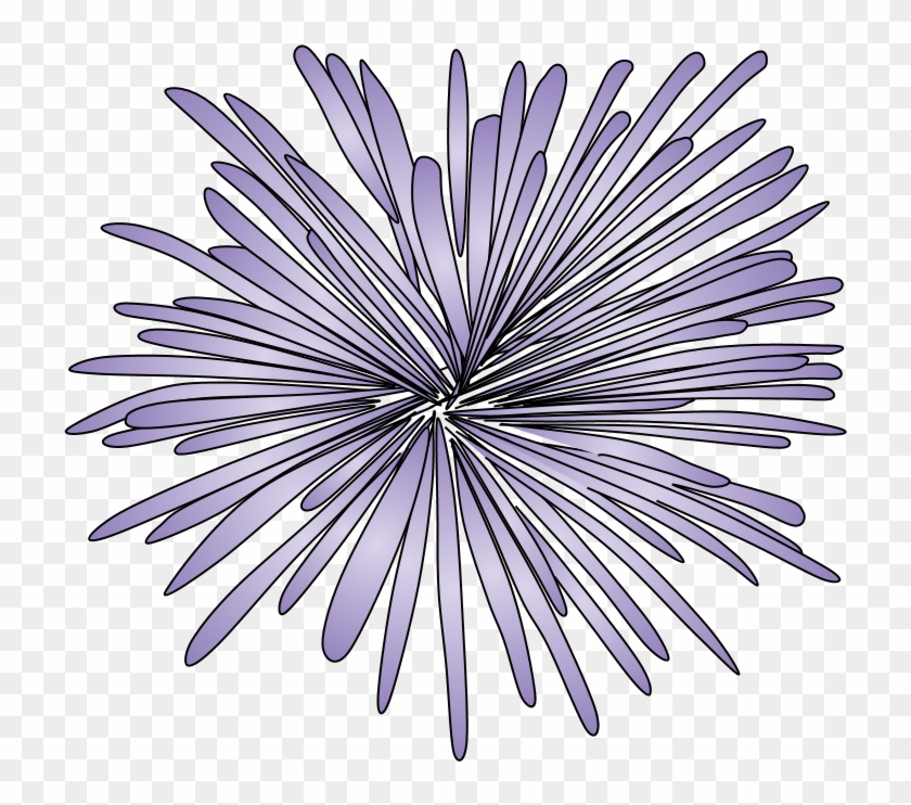 Fireworks, Burst, Style 2, Purple, Png - Drawing Clipart #3942852