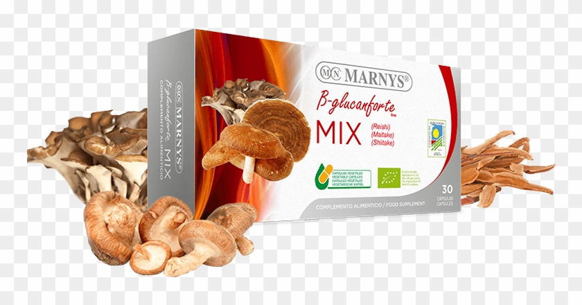 Mn463 - Mushroom Mix - Walnut Clipart
