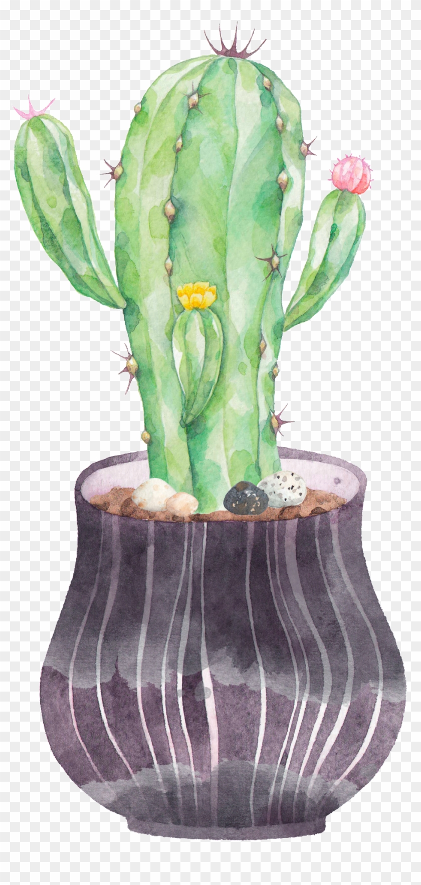 Cactus Png , Png Download - Cactus Png Clipart #3944236