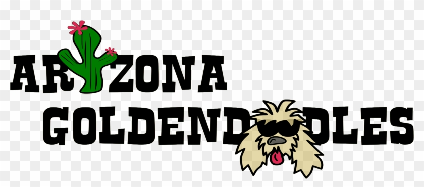 Breeder Of Top Quality Goldendoodles - Shih Tzu Clipart #3945393