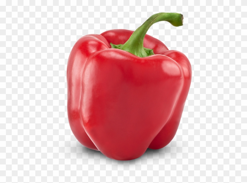 Rode Paprika Clipart