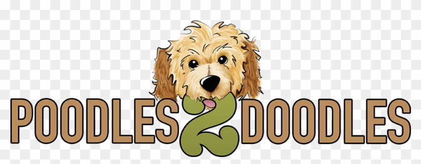 Poodles 2 Doodles - Labradoodle Clipart #3945673