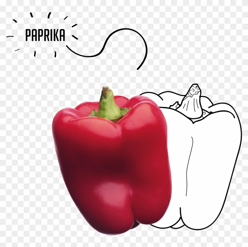 Paprika - 항산화 식품 Clipart #3945823