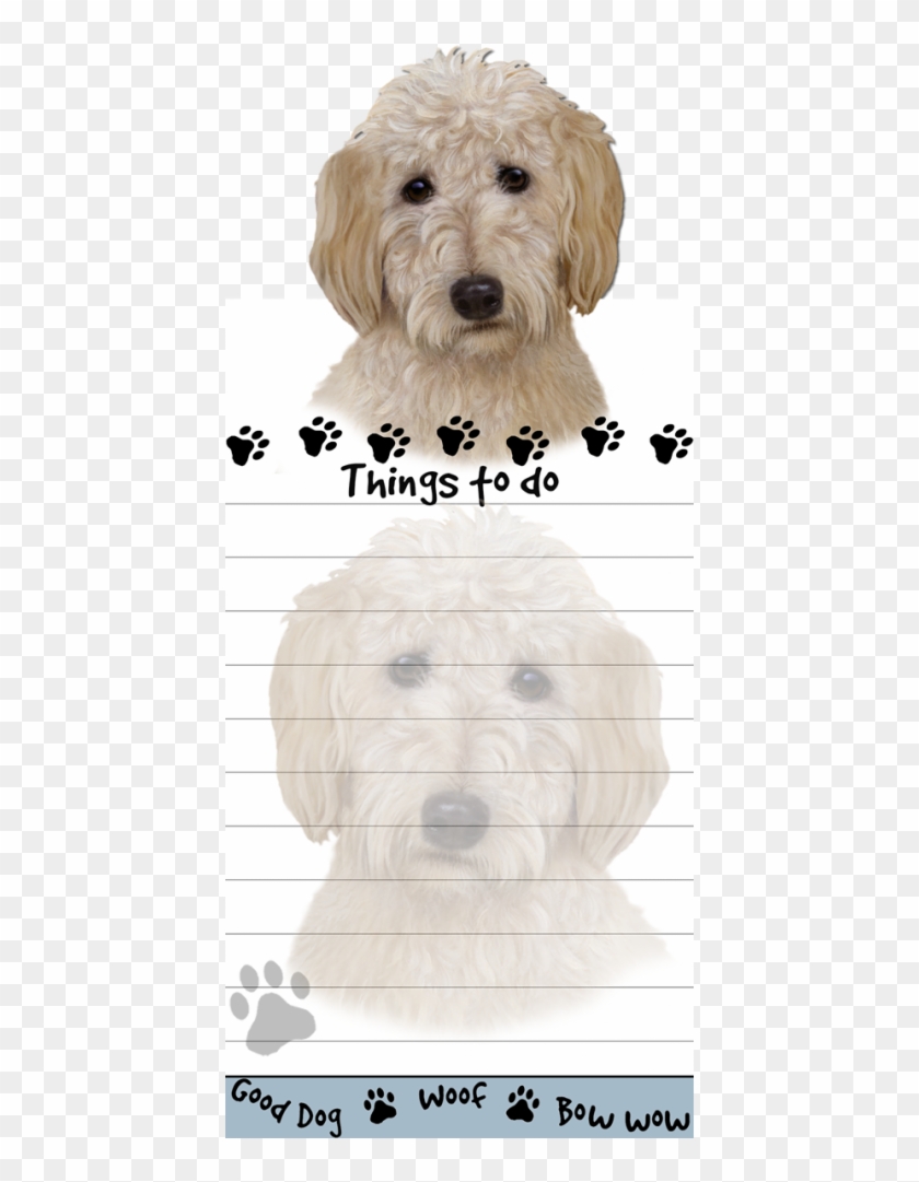 More Views - Labradoodle Clipart #3946129