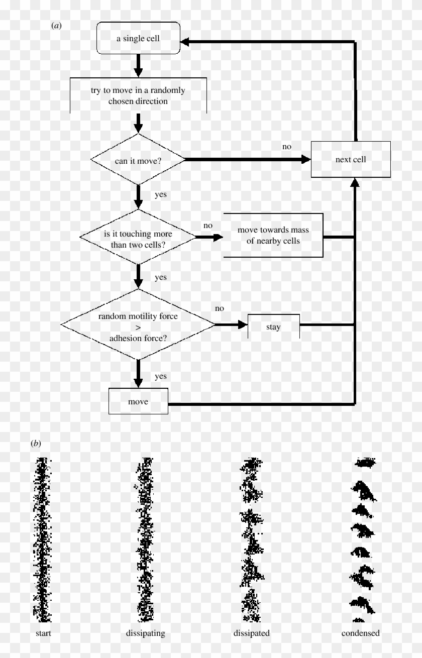 General Outline Of Computer Simulation Algorithm, And - Algorithm For Break Up Clipart