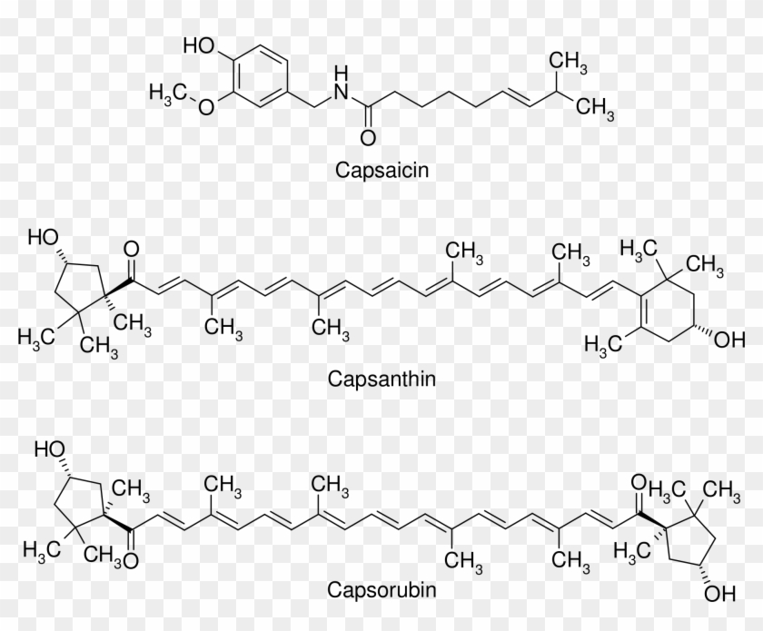 Open Capsaicin Metabolism Clipart (3946687) PikPng