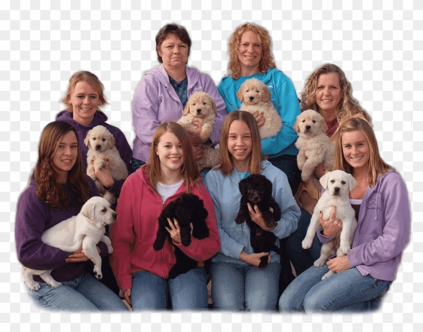 1 - Windmere Kennels Clipart #3946738