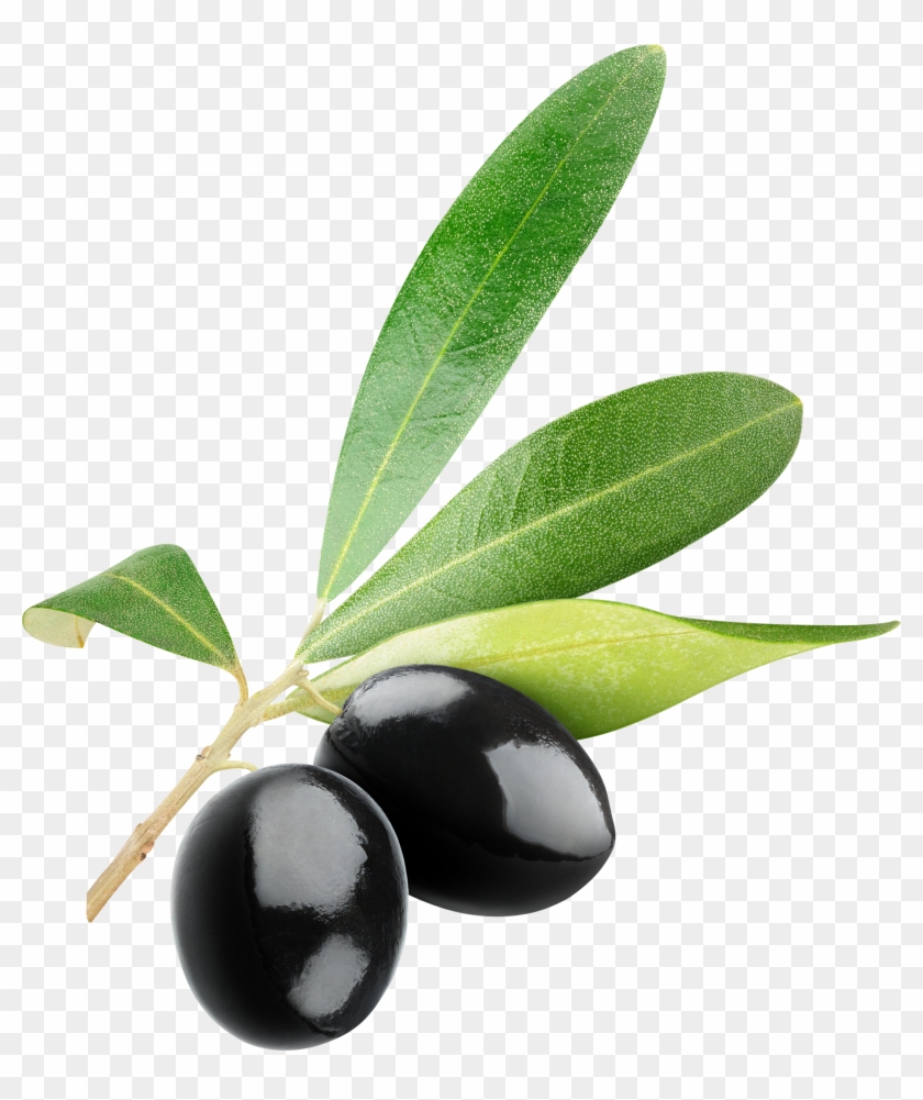 Black Olives Png - Olive Clipart Free Transparent Png #3946988