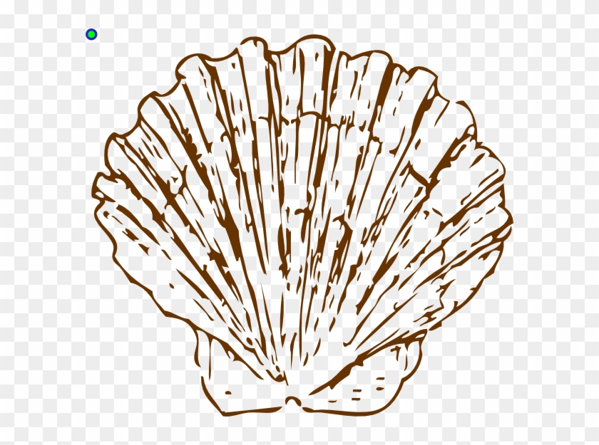 Brown Shell Beach Svg Clip Arts 600 X 545 Px - Teal Shell Clip Art - Png Download